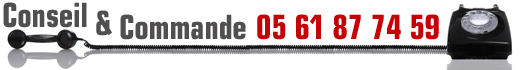 Conseil et commande