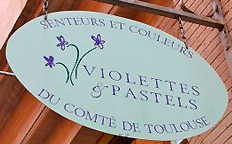 Violettes & Pastels
